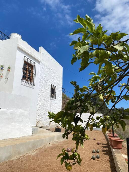 Casa Aya Villa Teror Eksteriør bilde